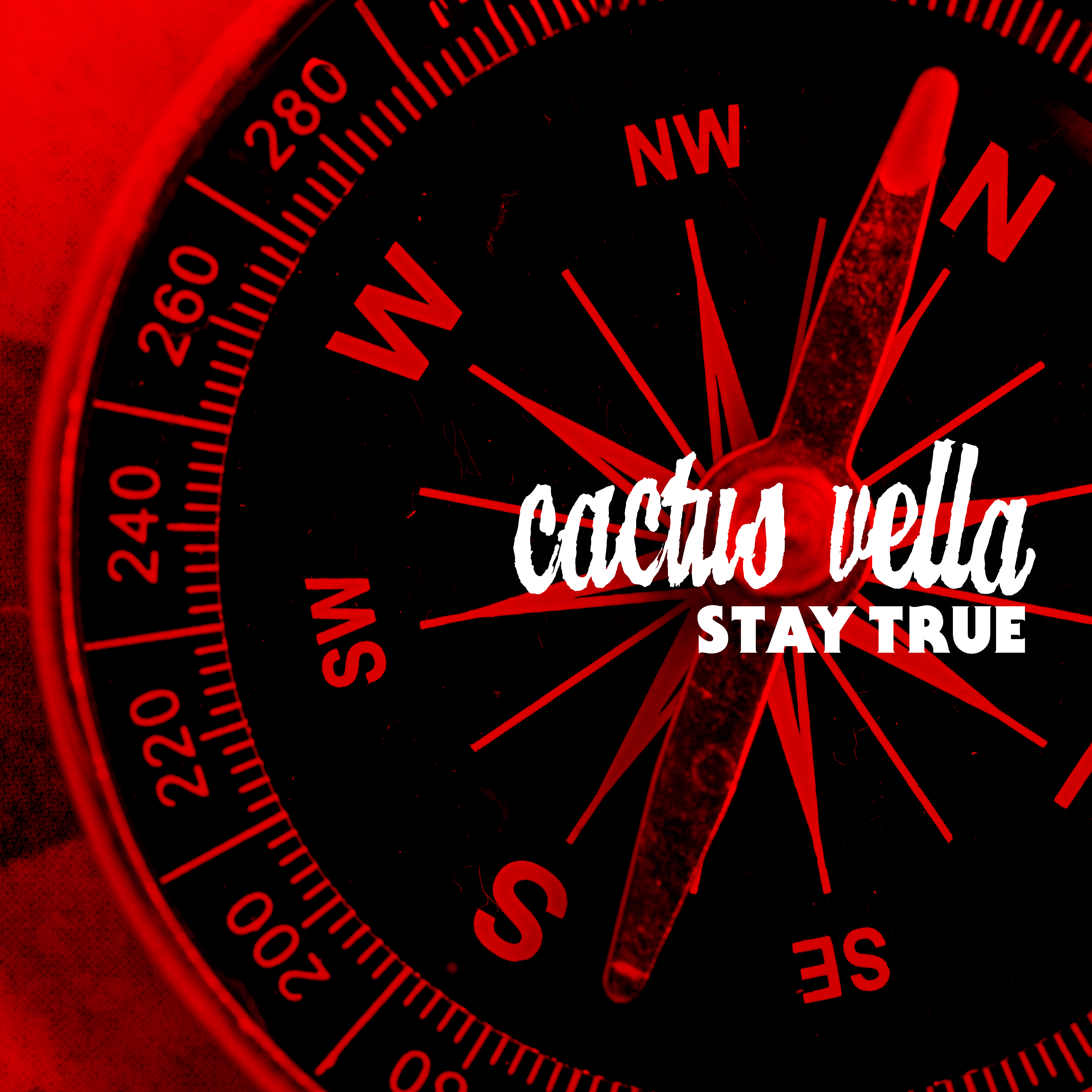 Cactus Vella - Stay True